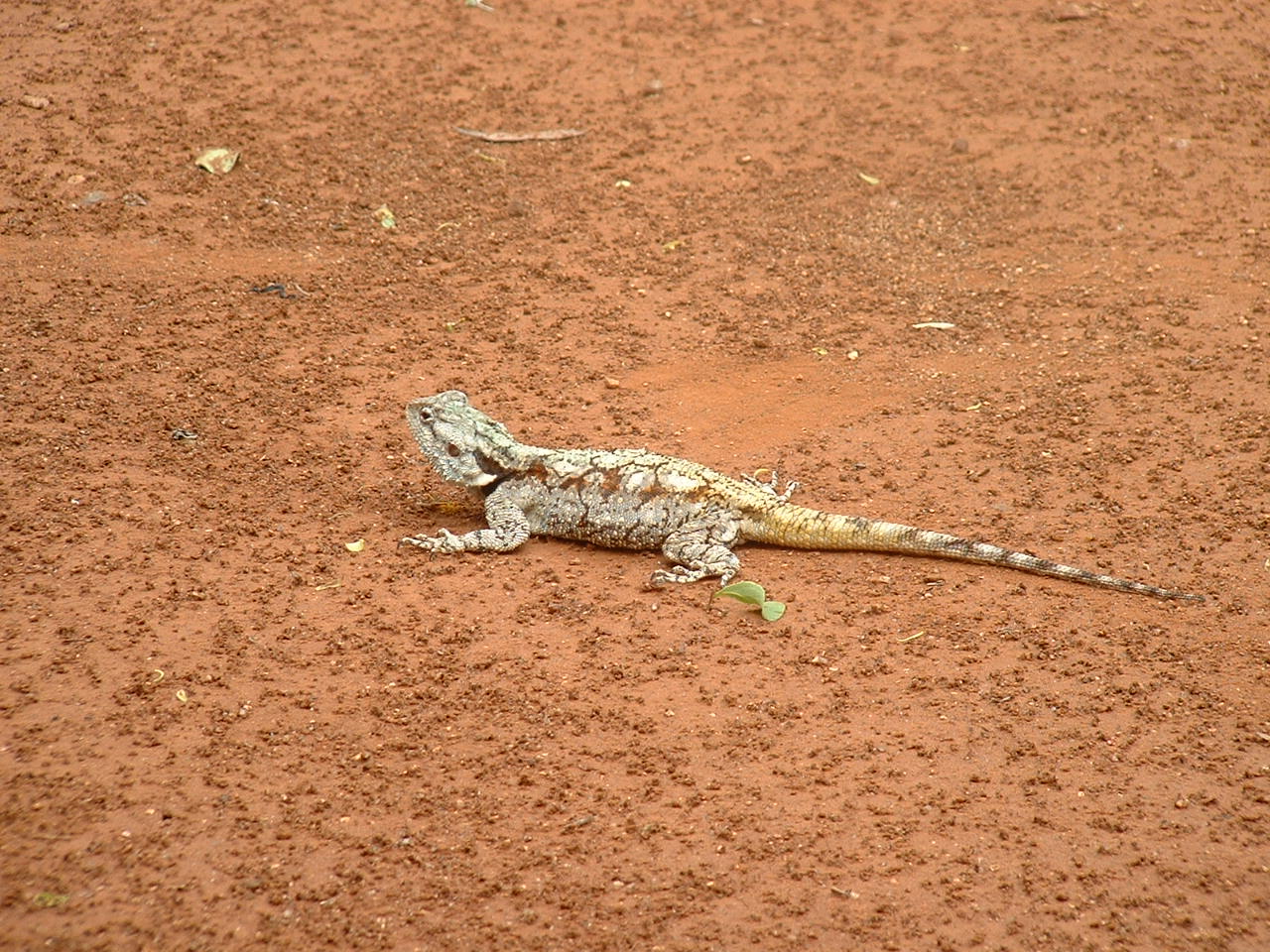 Kruger National Park