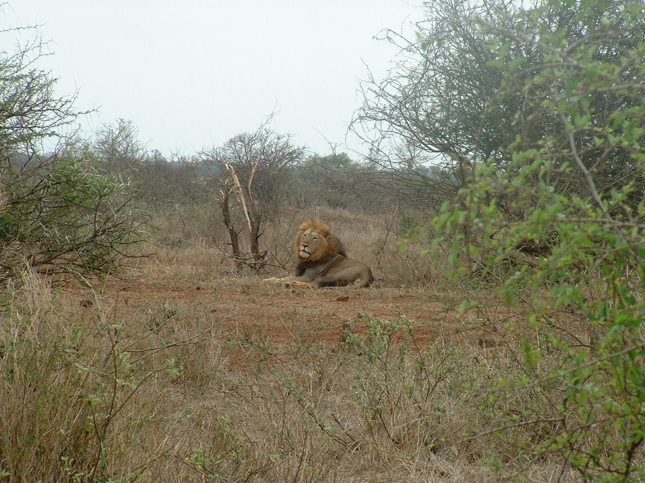 Kruger National Park