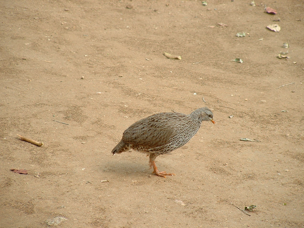 Kruger National Park