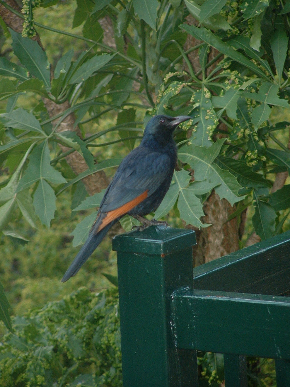 Kruger National Park
