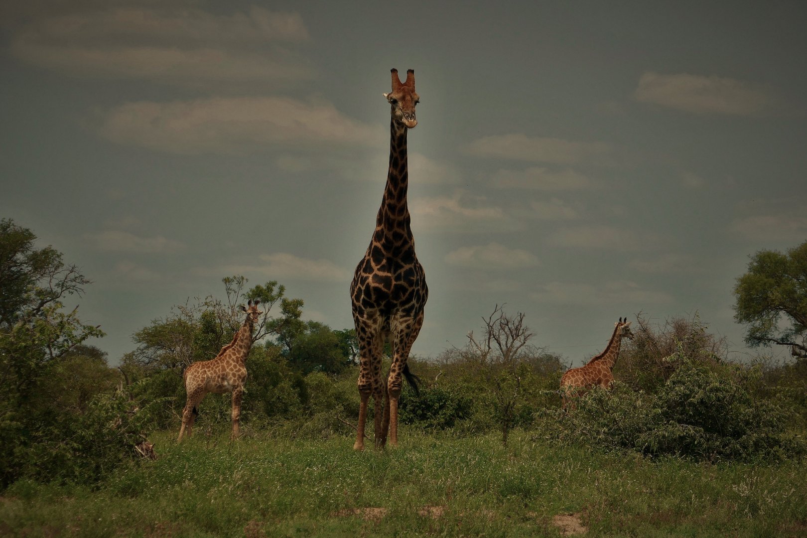 Kruger National Park