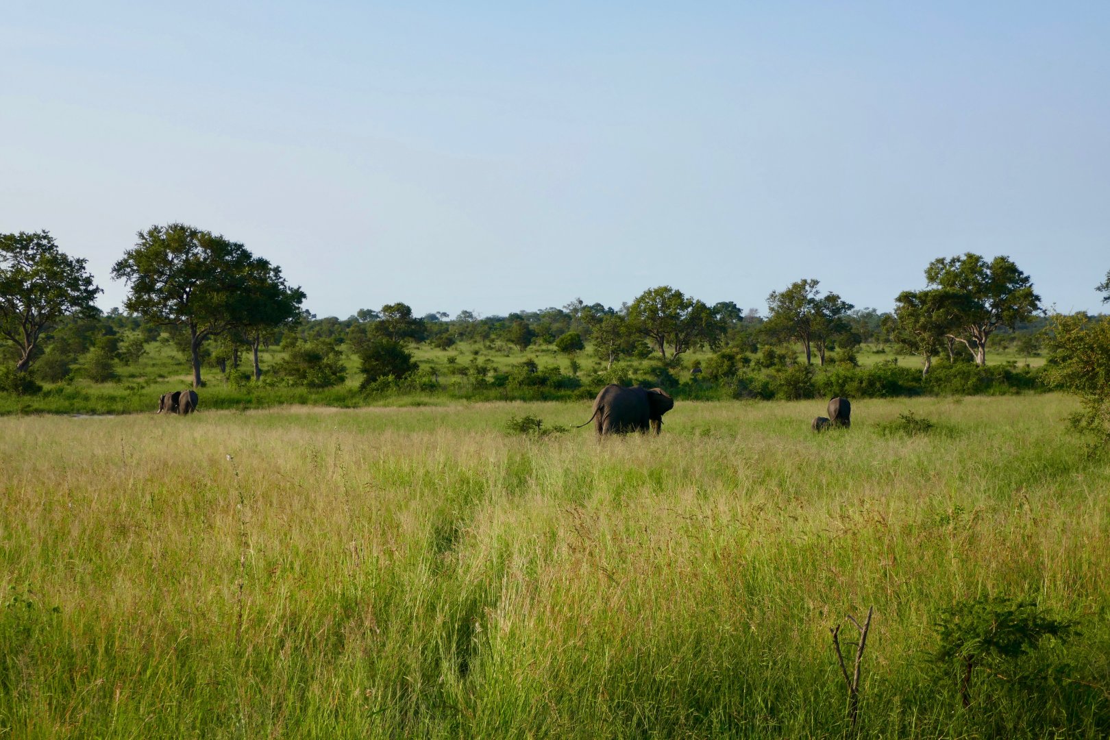 Kruger National Park