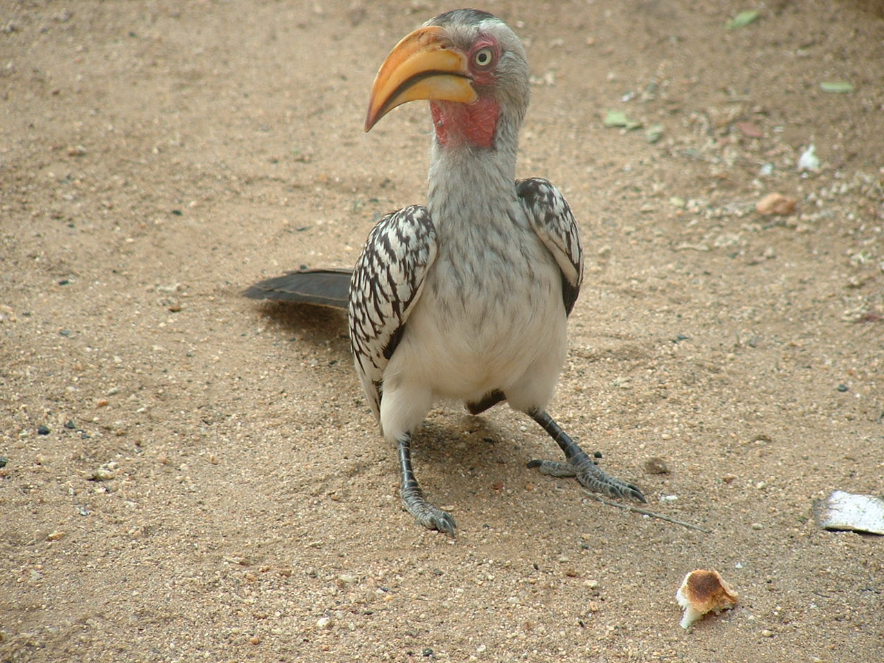 Kruger National Psrk