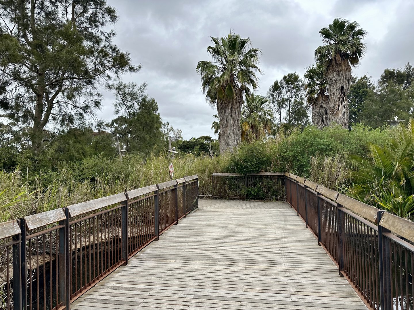 Kubu River Bridge (Common Hippopotamus Complex)