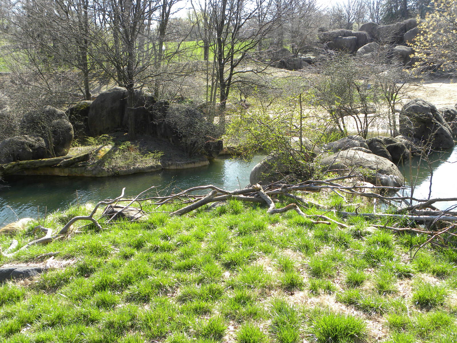 Kudu/Addra Gazelle/Stork exhibit and Rhino/Zebra/Ostrich exhibit