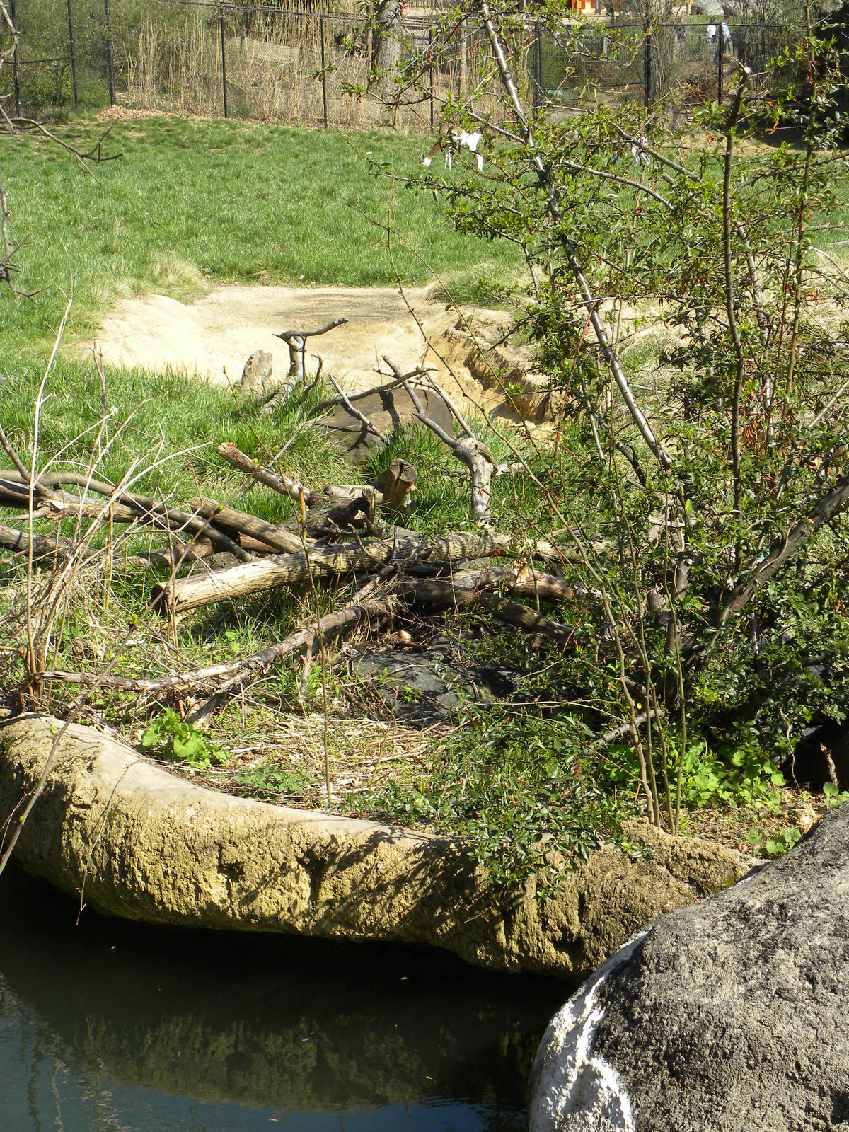 Kudu/Addra Gazelle/Stork exhibit