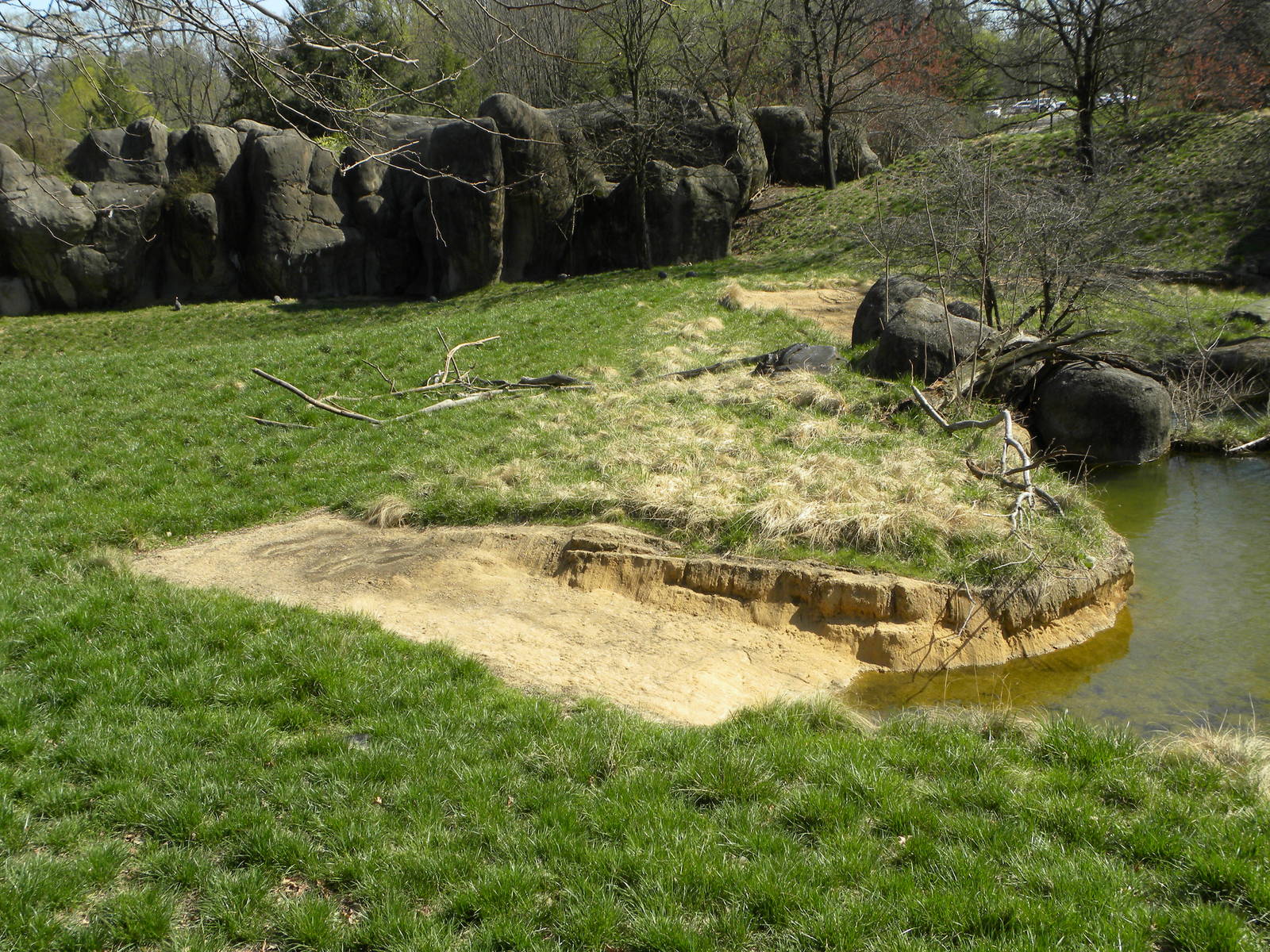 Kudu/Addra Gazelle/Stork exhibit