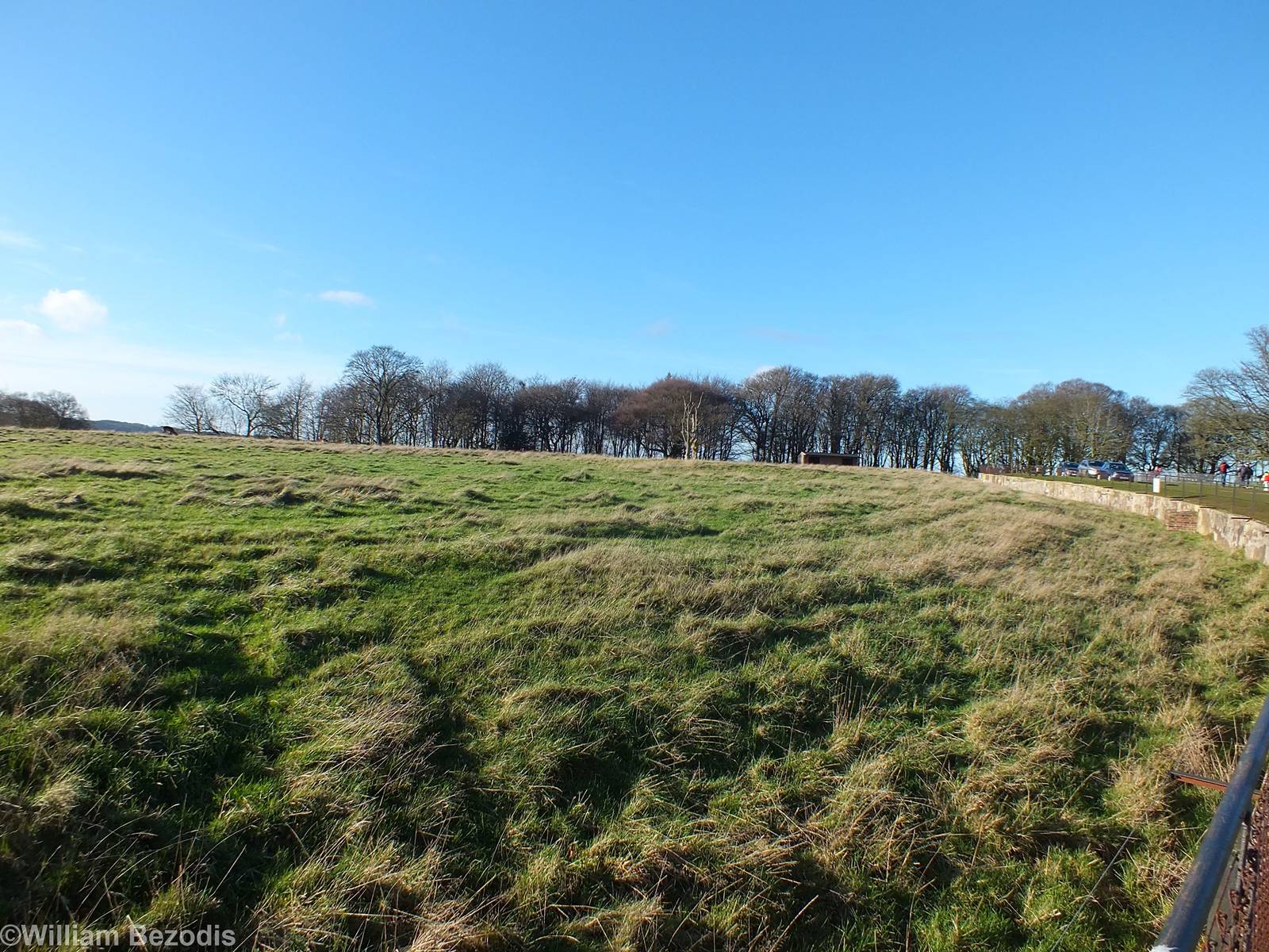 Kudu and Impala Paddock