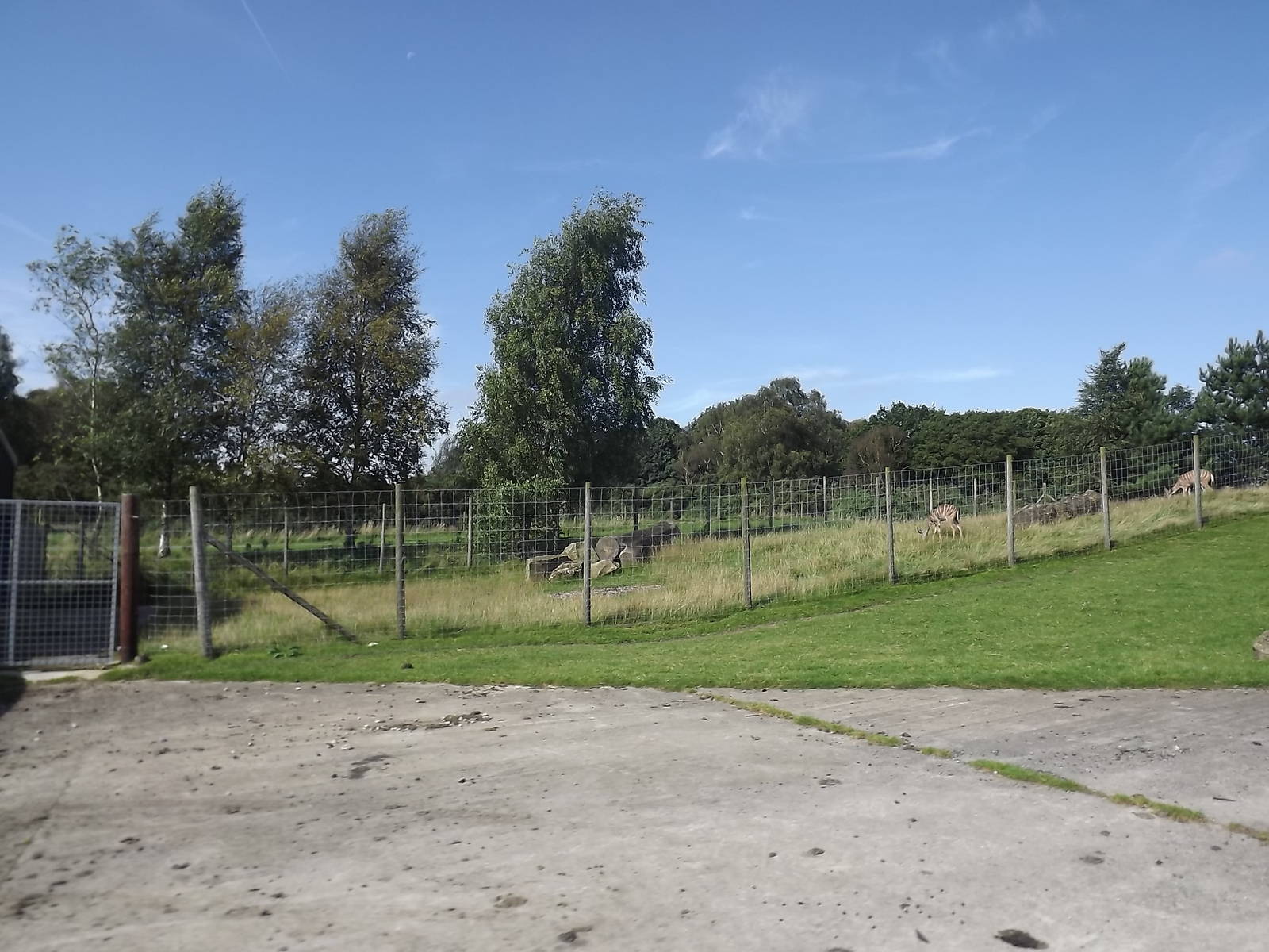 Kudu exhibit at Knowsley Safari Park 08/09/12
