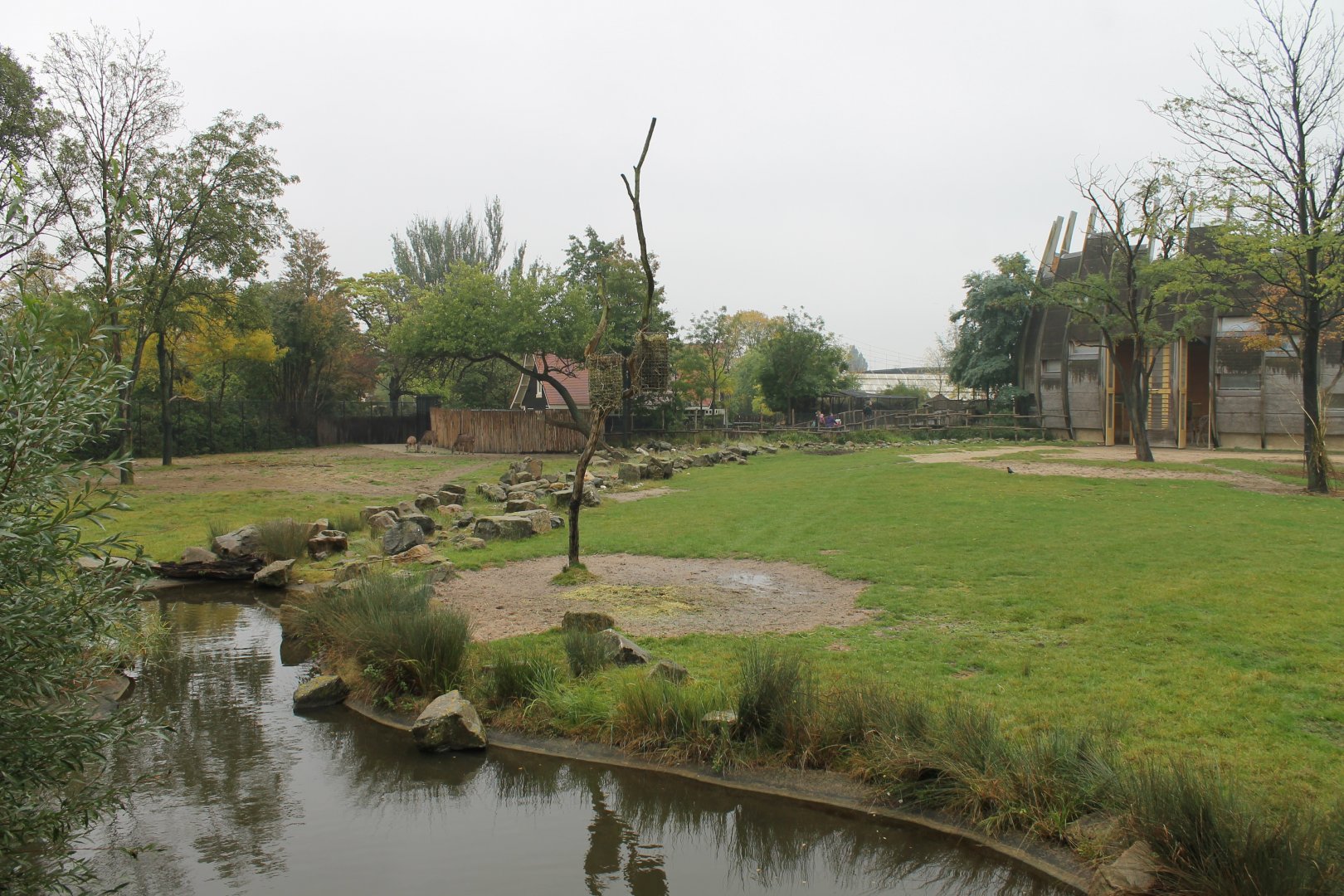 Kudu-giraffe enclosure