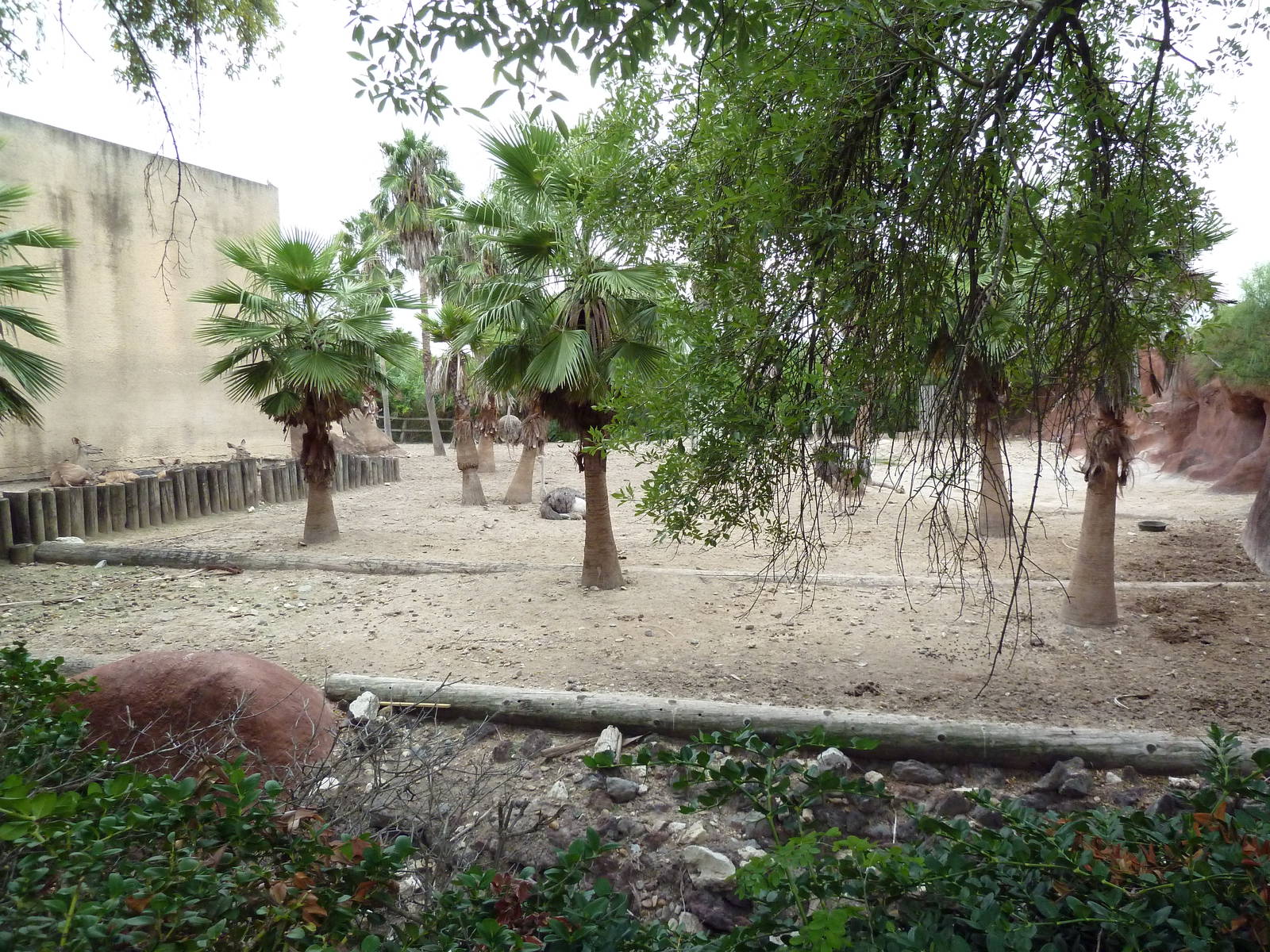 Kudu/Ostrich Exhibit