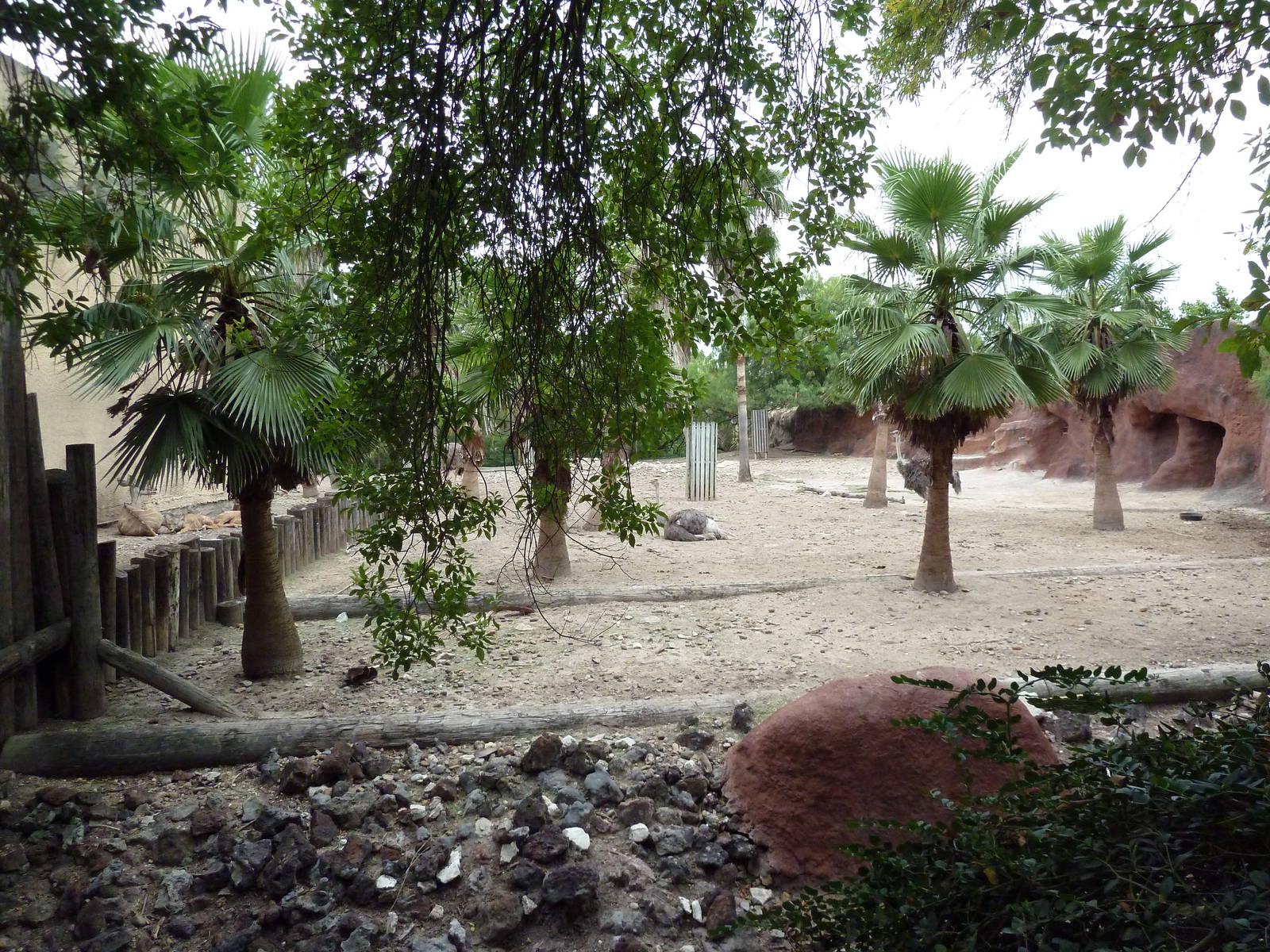 Kudu/Ostrich Exhibit