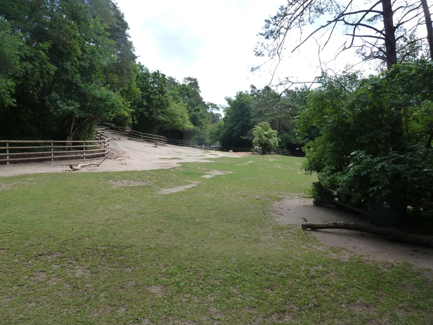 Kulan and dromedary mixed enclosure