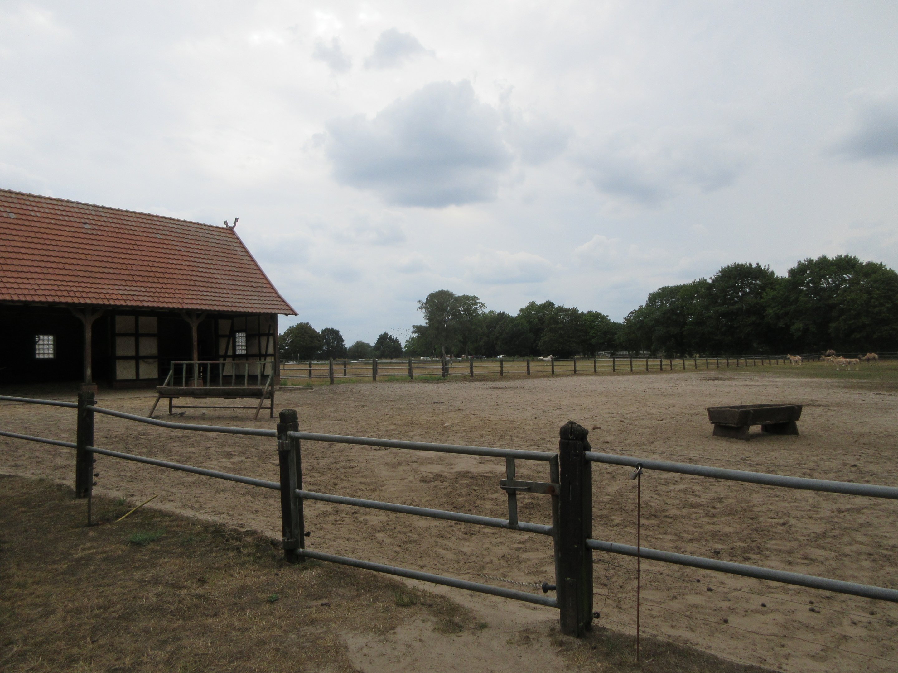Kulan/Bactrian Camel Exhibit