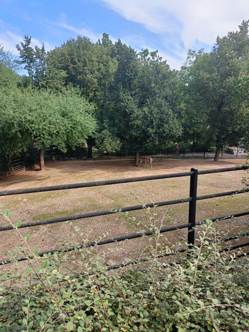 Kulan enclosure - Across the Continents