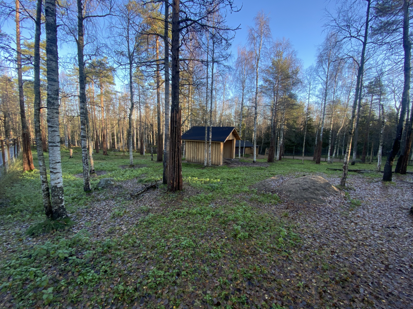 Kulan enclosure (to be)