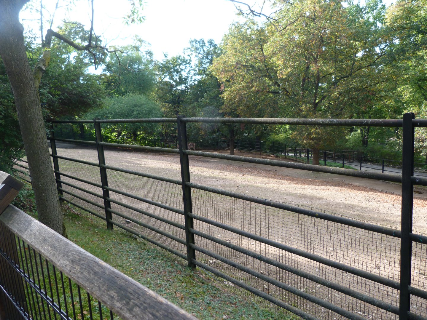 Kulan exhibit -Zoo Praha (2025)