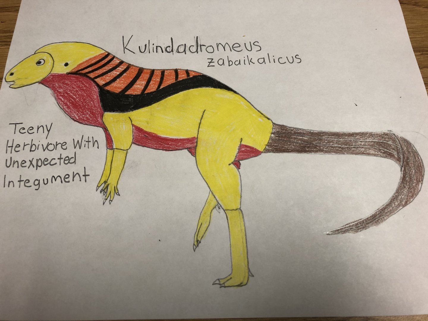 Kulindadromeus zabaikalicus