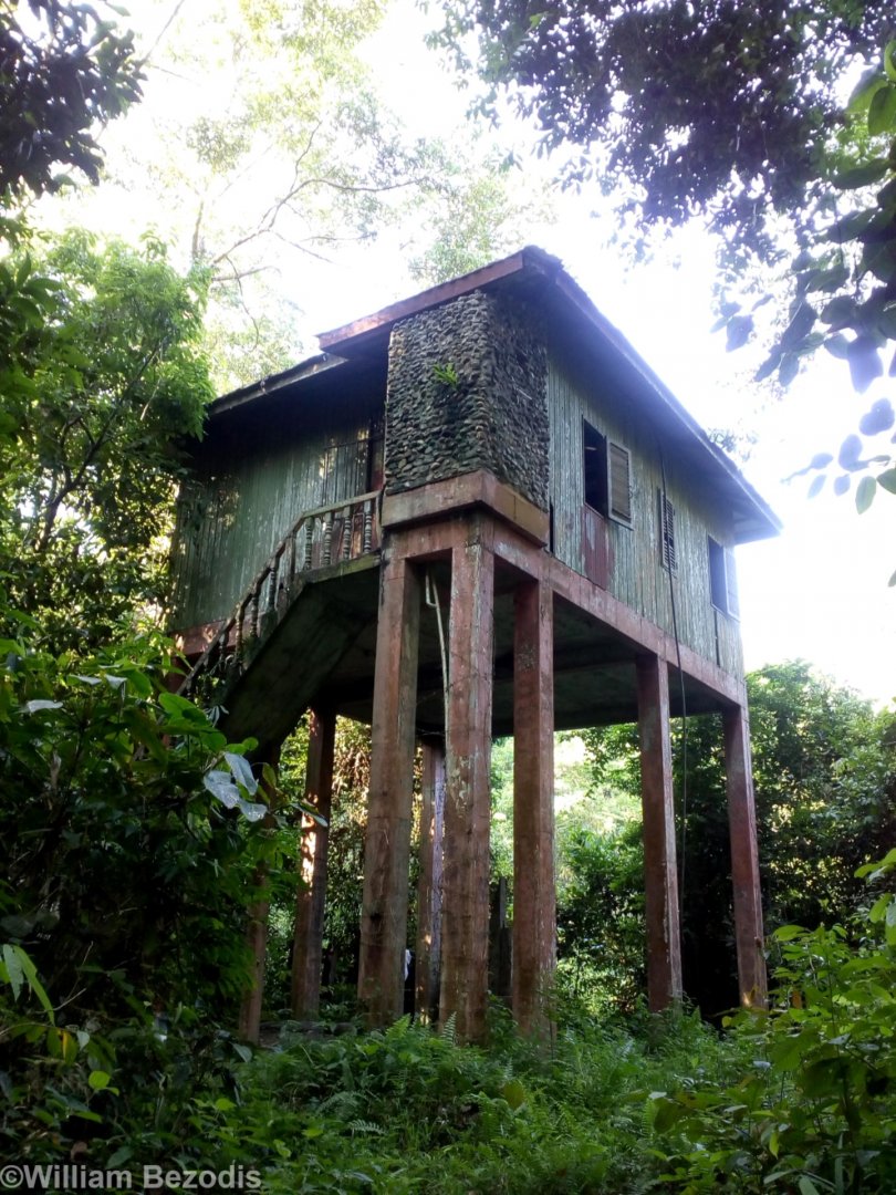 Kumbang Hide - Taman Negara