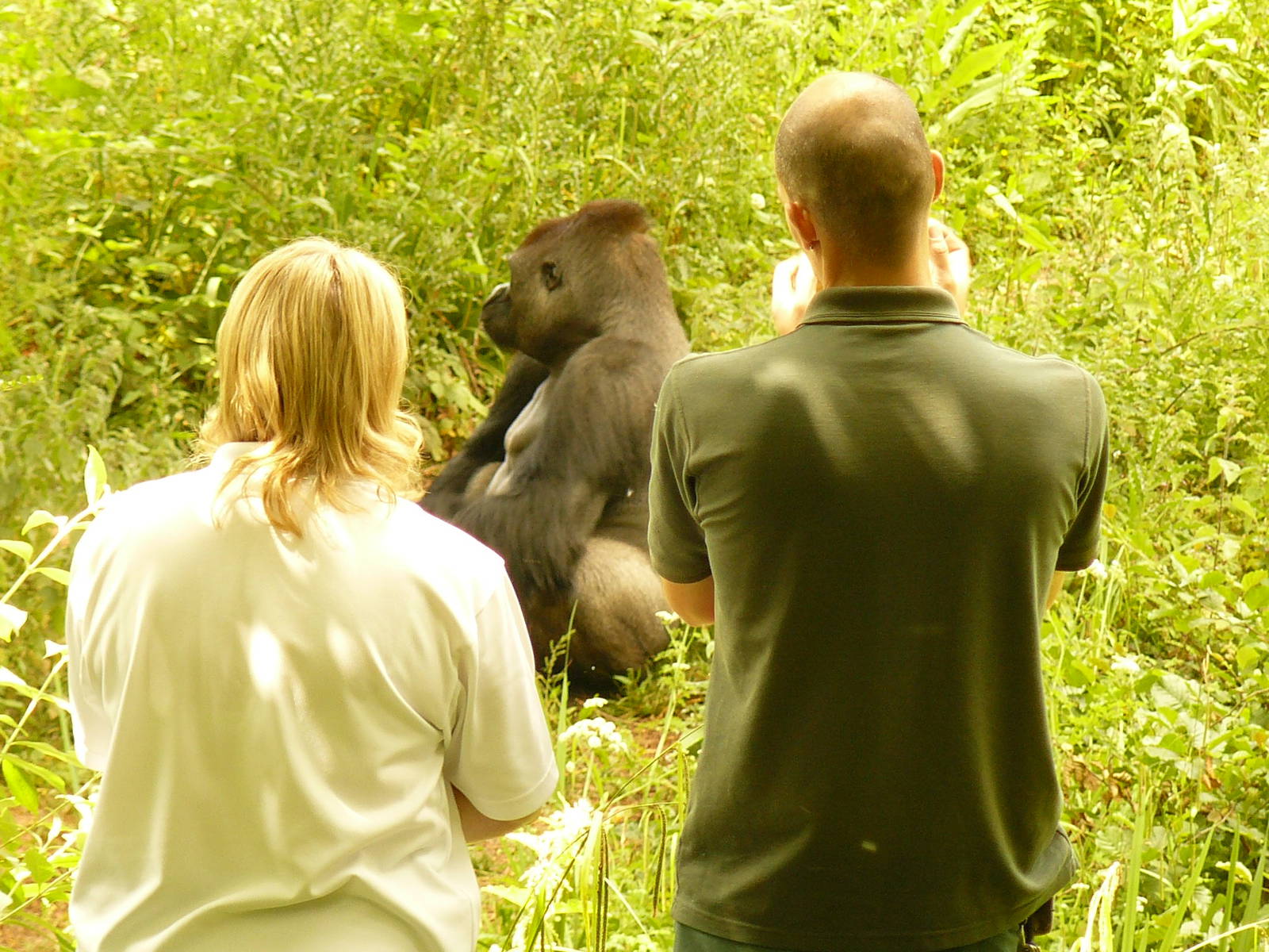 KUMBUKA AND COMPANY!