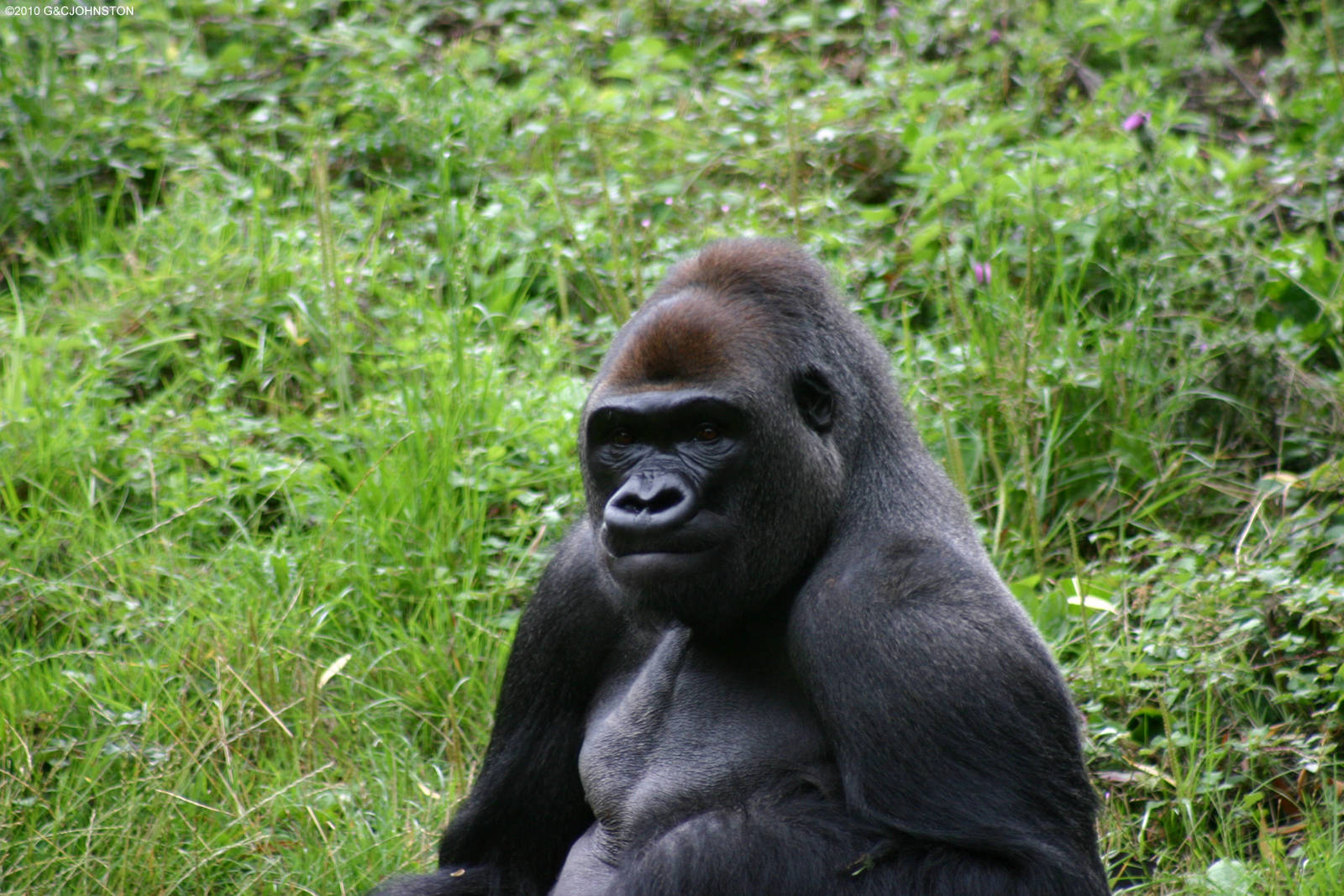 Kumbuka having a moment.