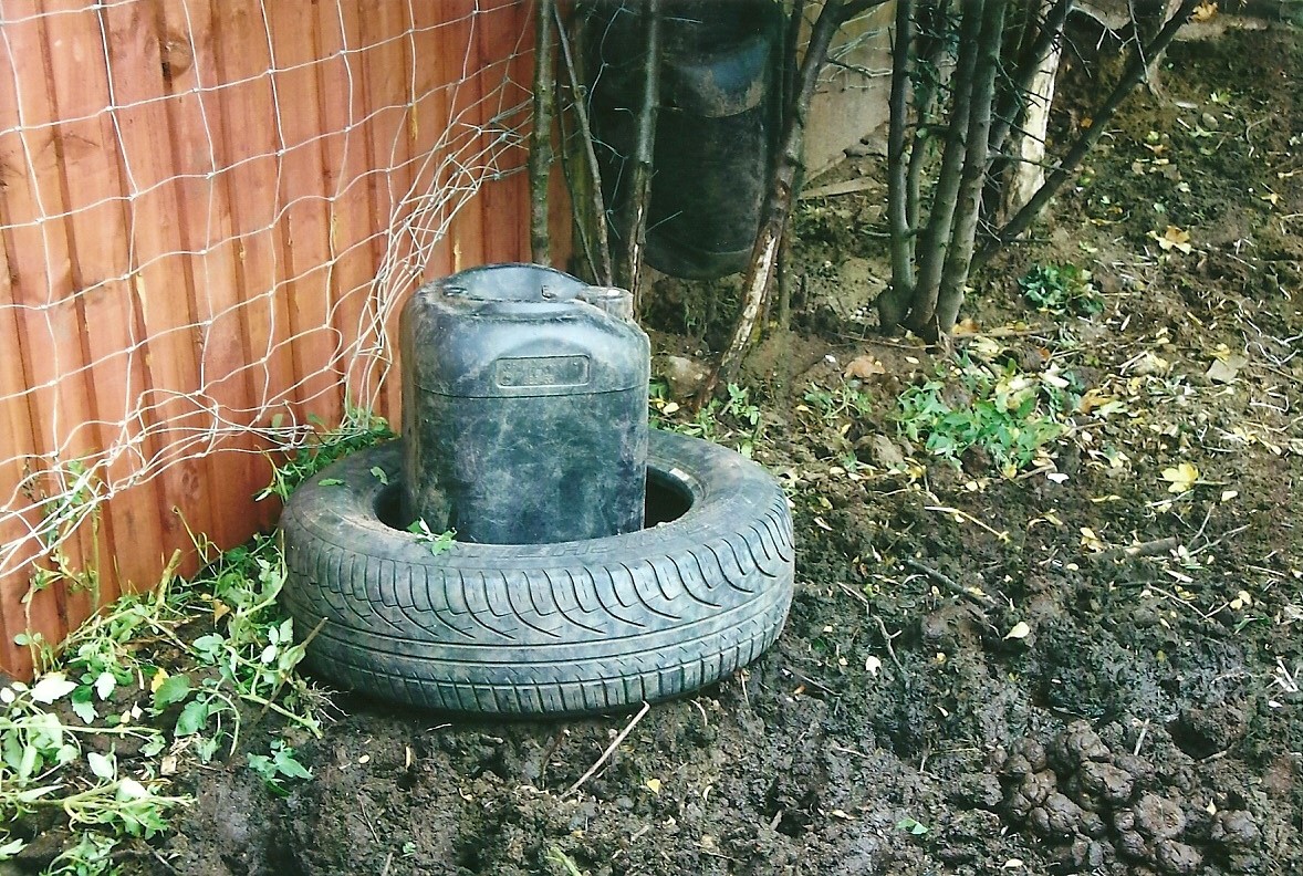 Kune Kune Pig enrichment, 13th September 2013