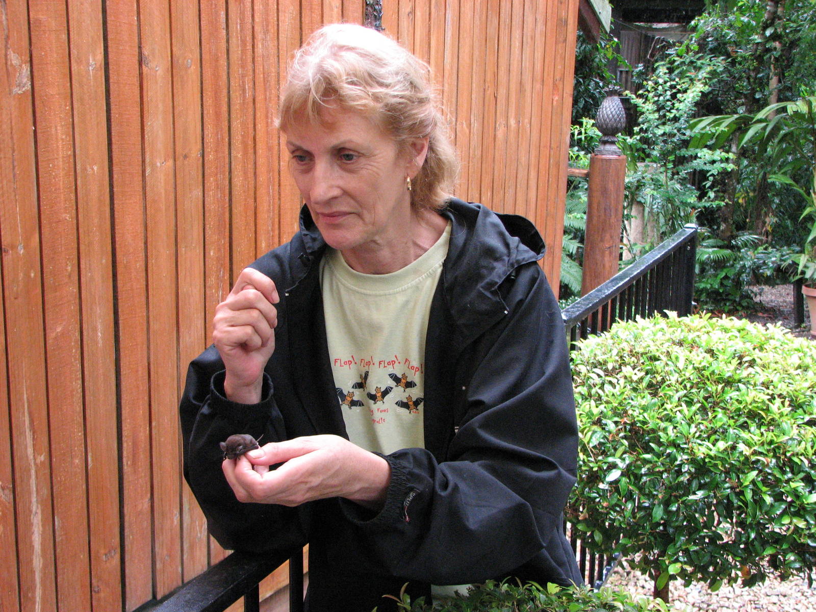 Kuranda Bat Reach 2007 - Pam shows us a tiny young bat