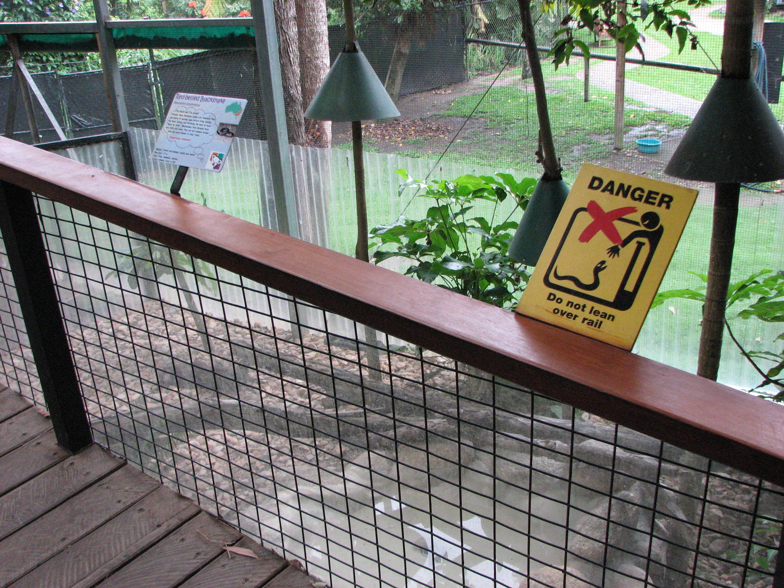 Kuranda Koala Gardens - Front of the Red-bellied Black Snake open-top exhib