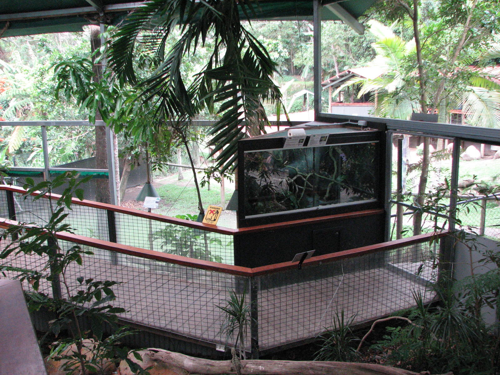 Kuranda Koala Gardens - Inside the Reptile Walk-Through