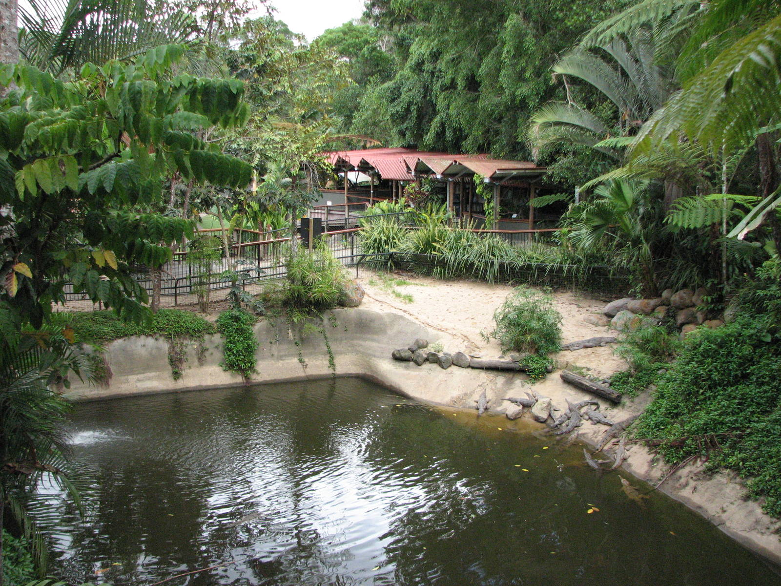 Kuranda Koala Gardens - Large Freshwater Crocodile exhibit