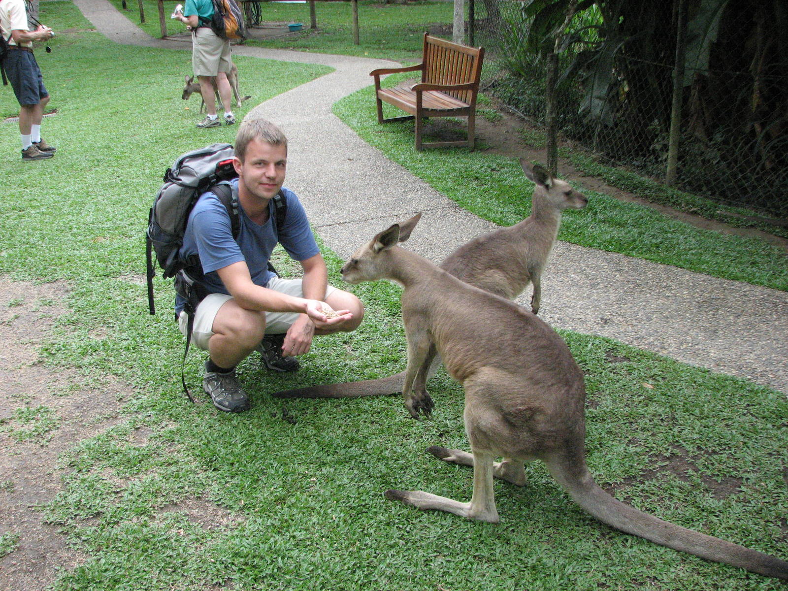 Kuranda Koala Gardens - Me and Eastern Gray Kangaroos