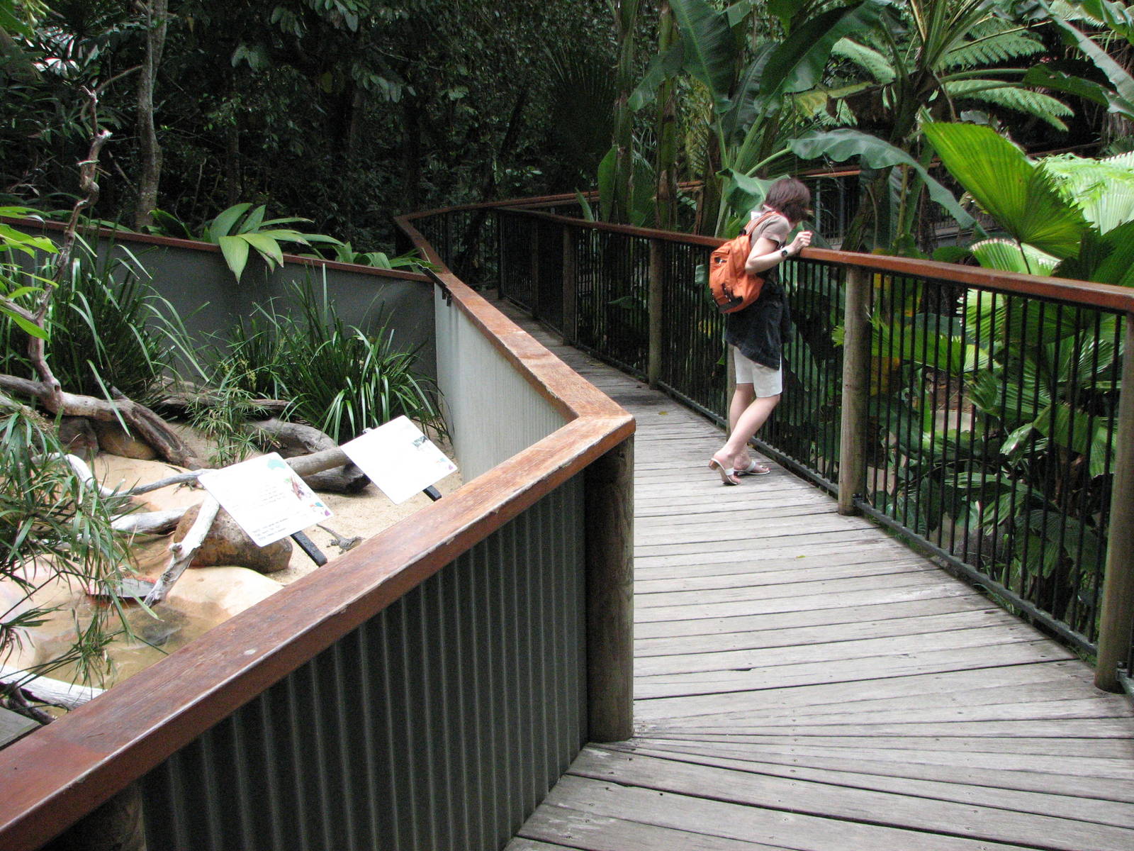 Kuranda Koala Gardens - Mixed lizard exhibit