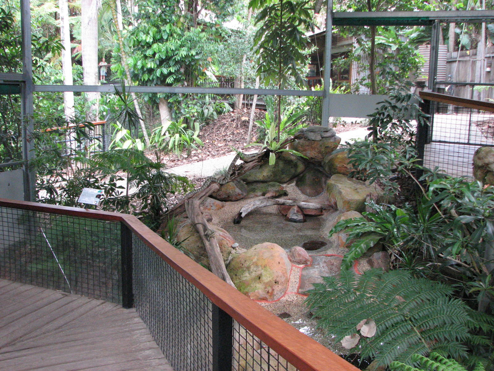 Kuranda Koala Gardens - Open-top exhibit for Red-bellied Black Snakes