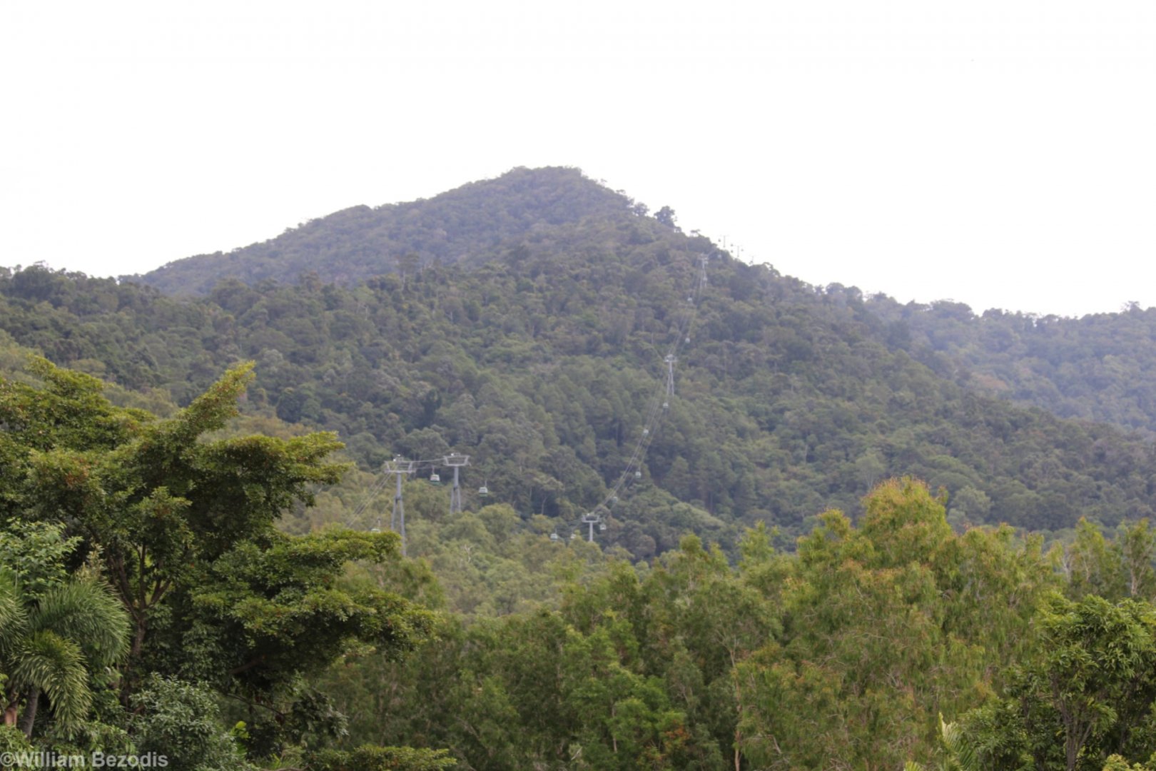 Kuranda Skyrail Cable Car Over the Rainforest