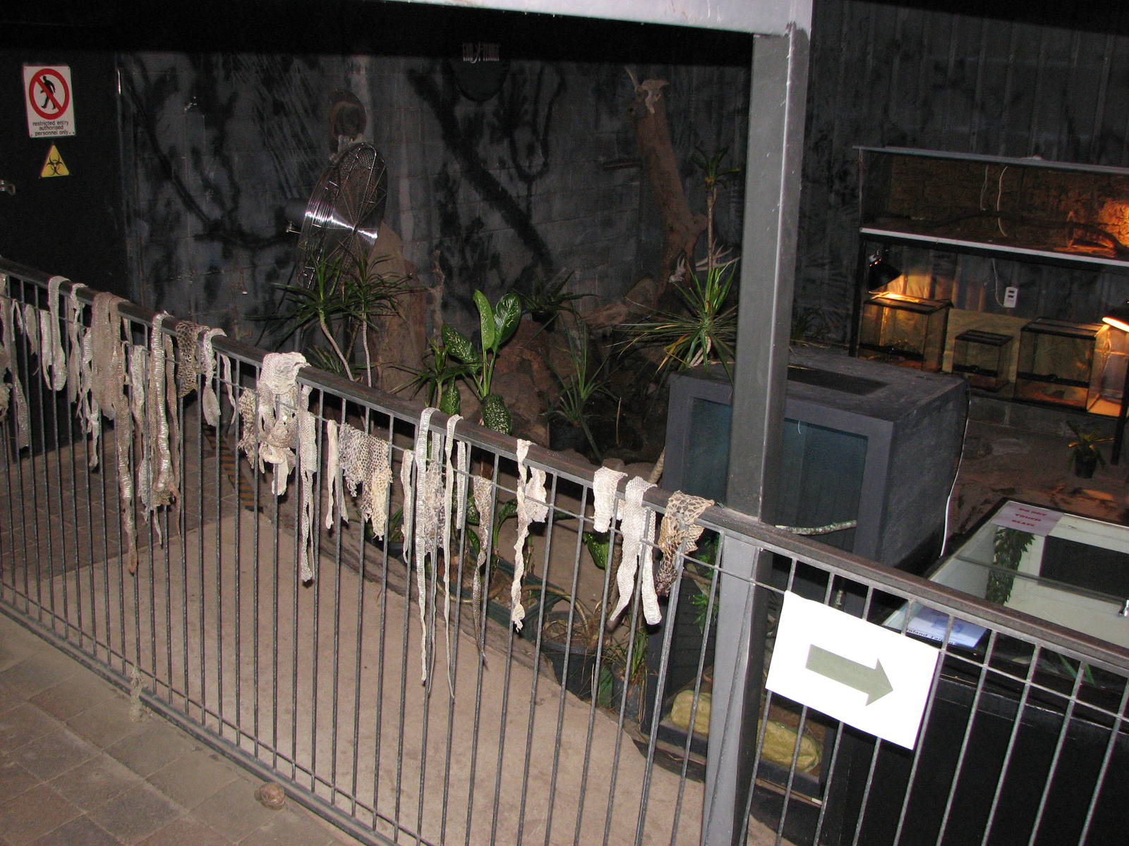 Kuranda Venom Zoo 2007 - Dark cellar of snake exhibits