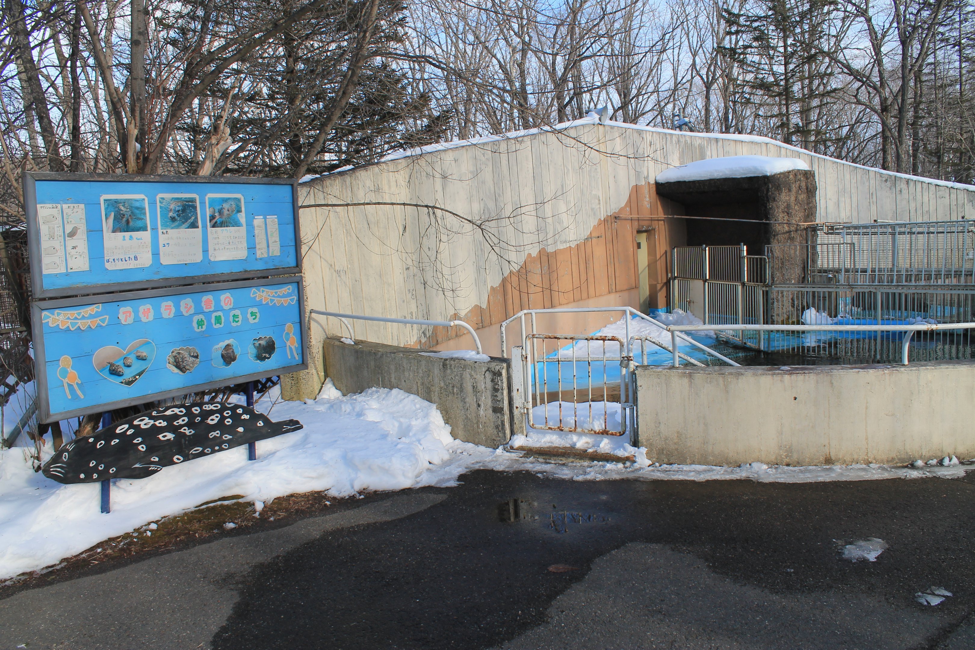 Kuril Seal enclosure, Kushiro Zoo