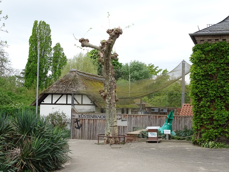 Küstenpanorama seen from afar