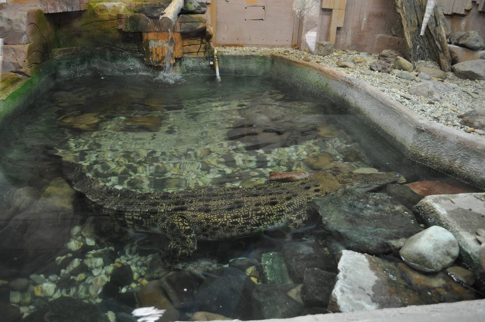 Kyabram Fauna Park 22/8/10