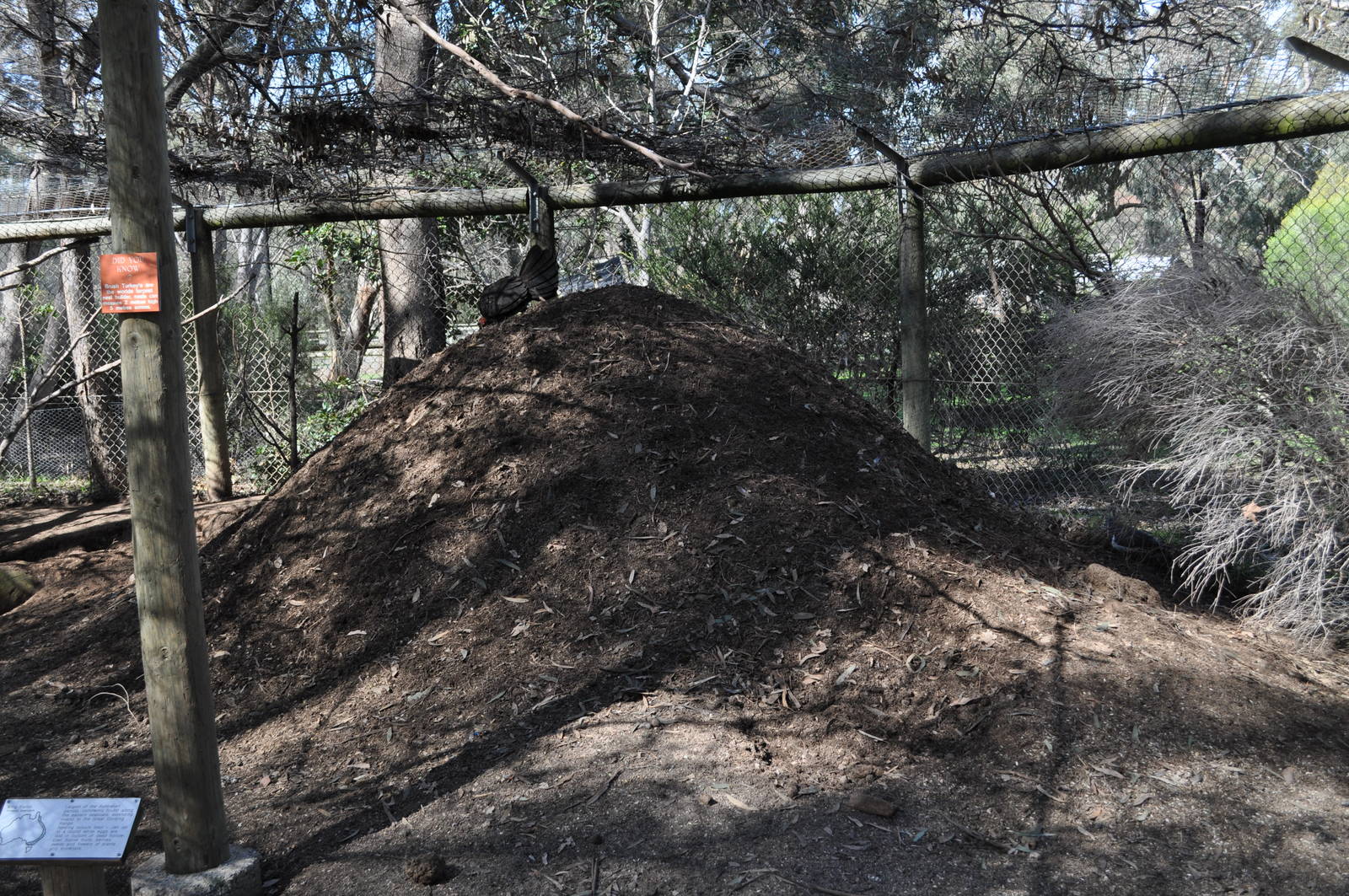 Kyabram Fauna Park 22/8/10