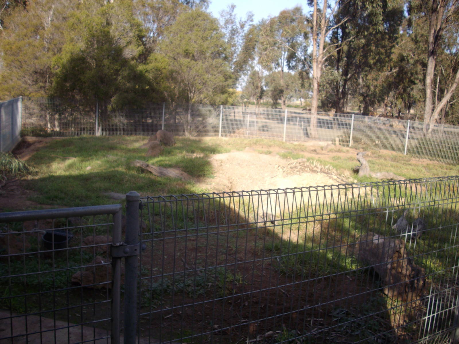 Kyabram Fauna Park Wombat Exhibit