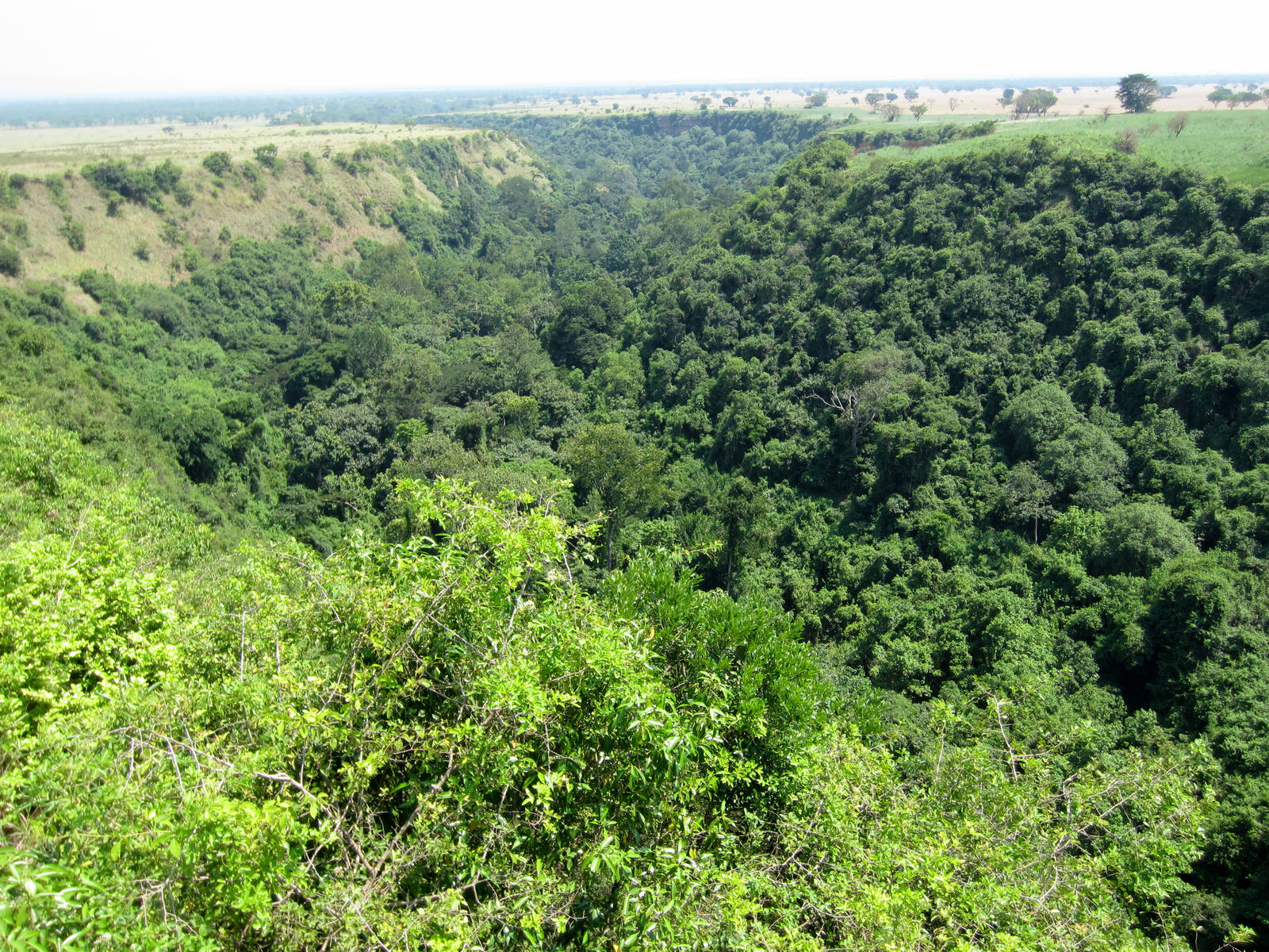 Kyambura Gorge