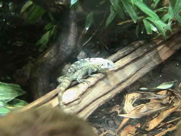 l fc68cacba23ed008bac35e67044e63fc