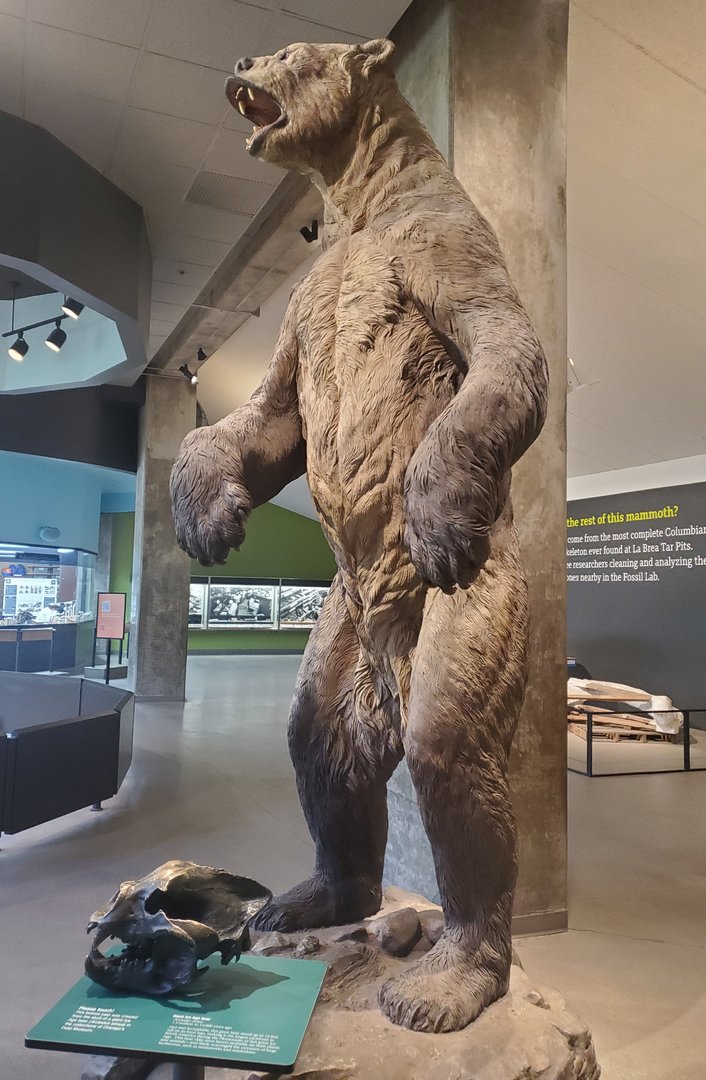 La Brea - Arctodus simus