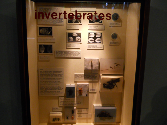La Brea tar pit invertebrates