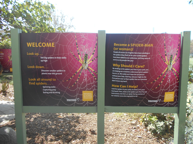 LA County Natural History Museum Spider Pavilion