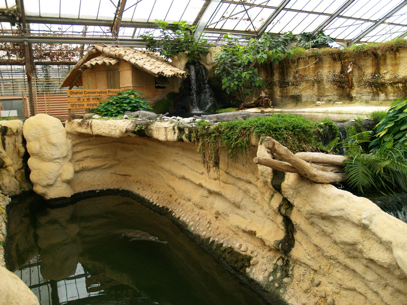La ferme aux crocodiles - Gharial exhibit