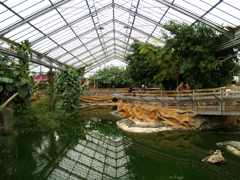 La ferme aux crocodiles - Greenhouse