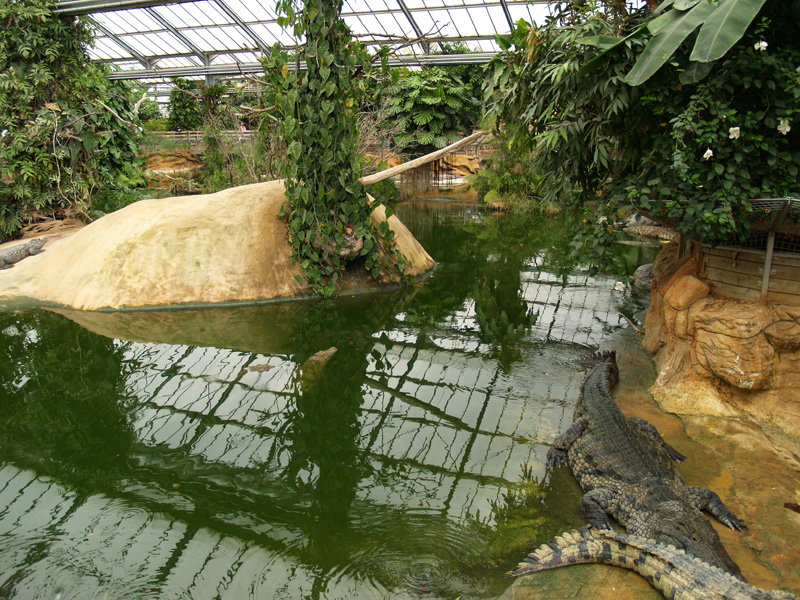 La ferme aux crocodiles - Greenhouse
