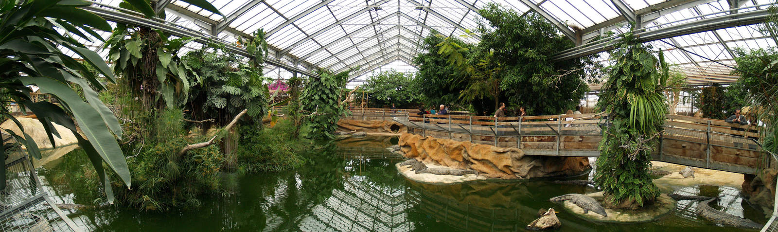 La ferme aux crocodiles - Nile crocs panorama