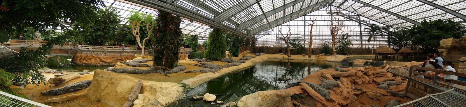 La ferme aux crocodiles - Nile crocs panorama